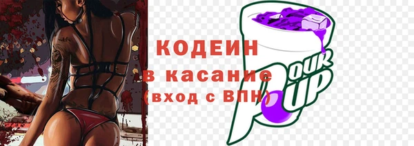 spice Инсар