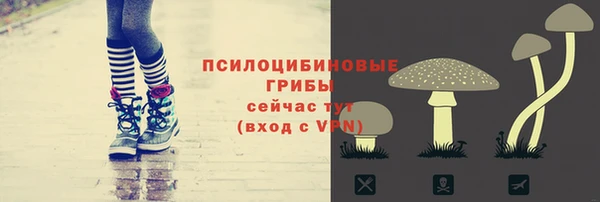 скорость mdpv Инта