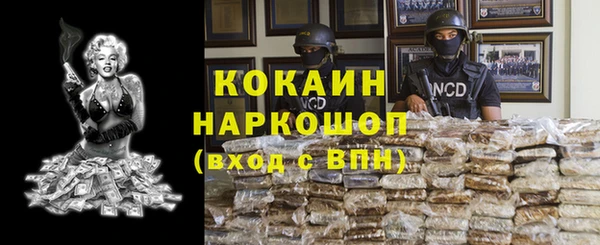 индика Иноземцево