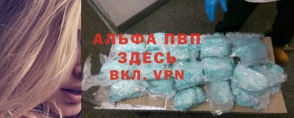 spice Инсар