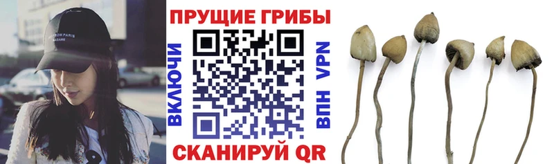Галлюциногенные грибы MAGIC MUSHROOMS  Сретенск 